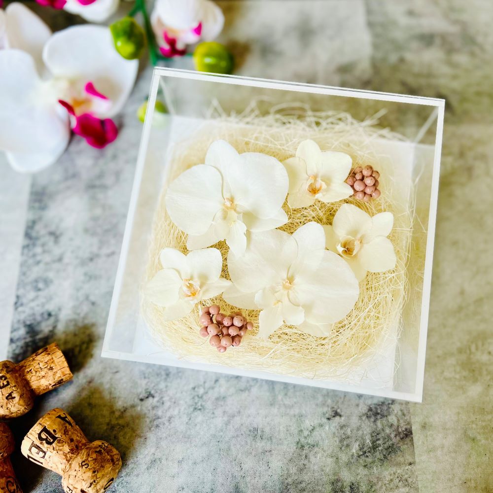 calando M -カランド M-　ピンク